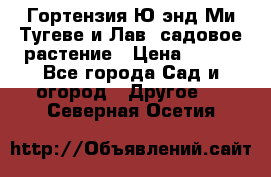 Гортензия Ю энд Ми Тугеве и Лав, садовое растение › Цена ­ 550 - Все города Сад и огород » Другое   . Северная Осетия
